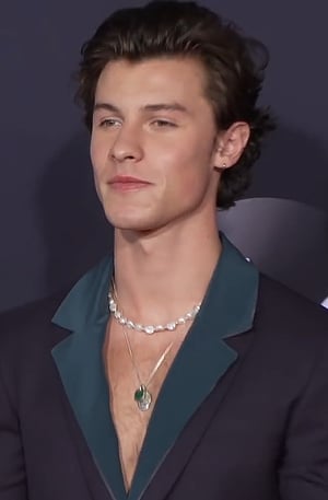 Shawn Mendes AI voice text to speech and AI music cover generator